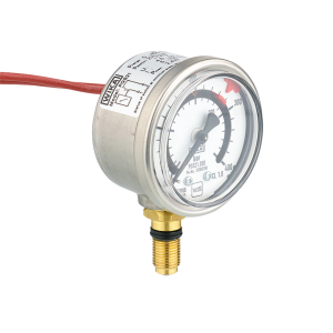 Inerex Gauges